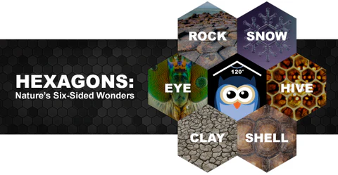 Hexagon shape appearing in honeycombs, snowflakes, and geometric patterns found throughout nature